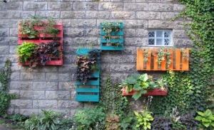 Pallet Garden Wall