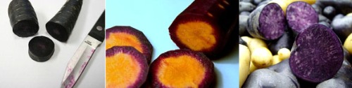 Carrots Purple  Orange Color Combinations